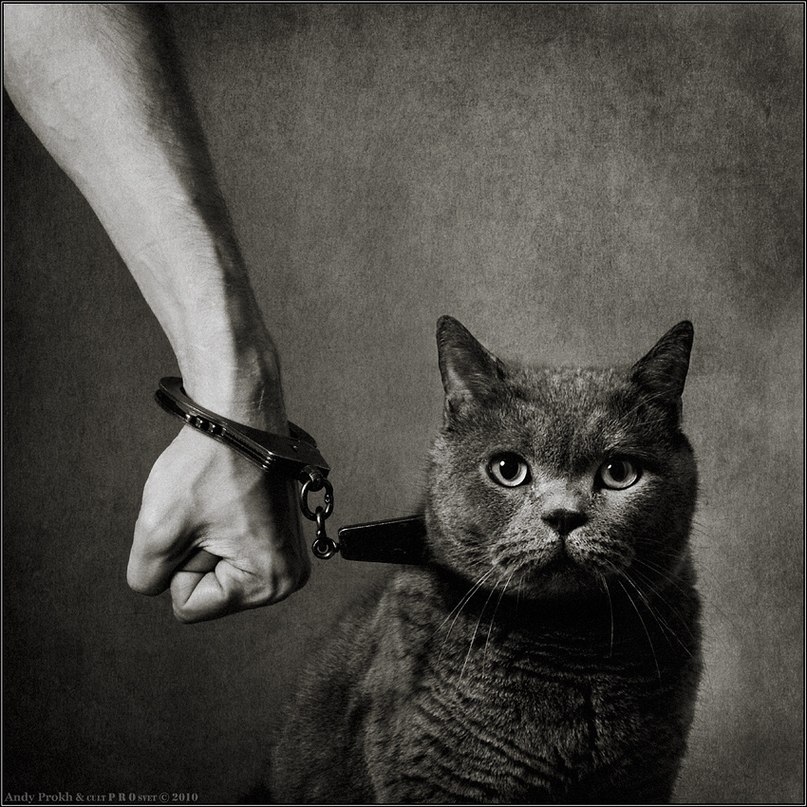 Ilya Kyznetsov Сэмюэл Лэнгхорн Клеменс | 