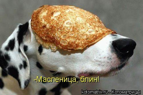 №41, Татьяна Desp-Mom, Киев №41, Татьяна Desp-Mom, Киев