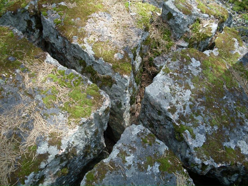 Наталья Ефимова | Санкт-Петербург