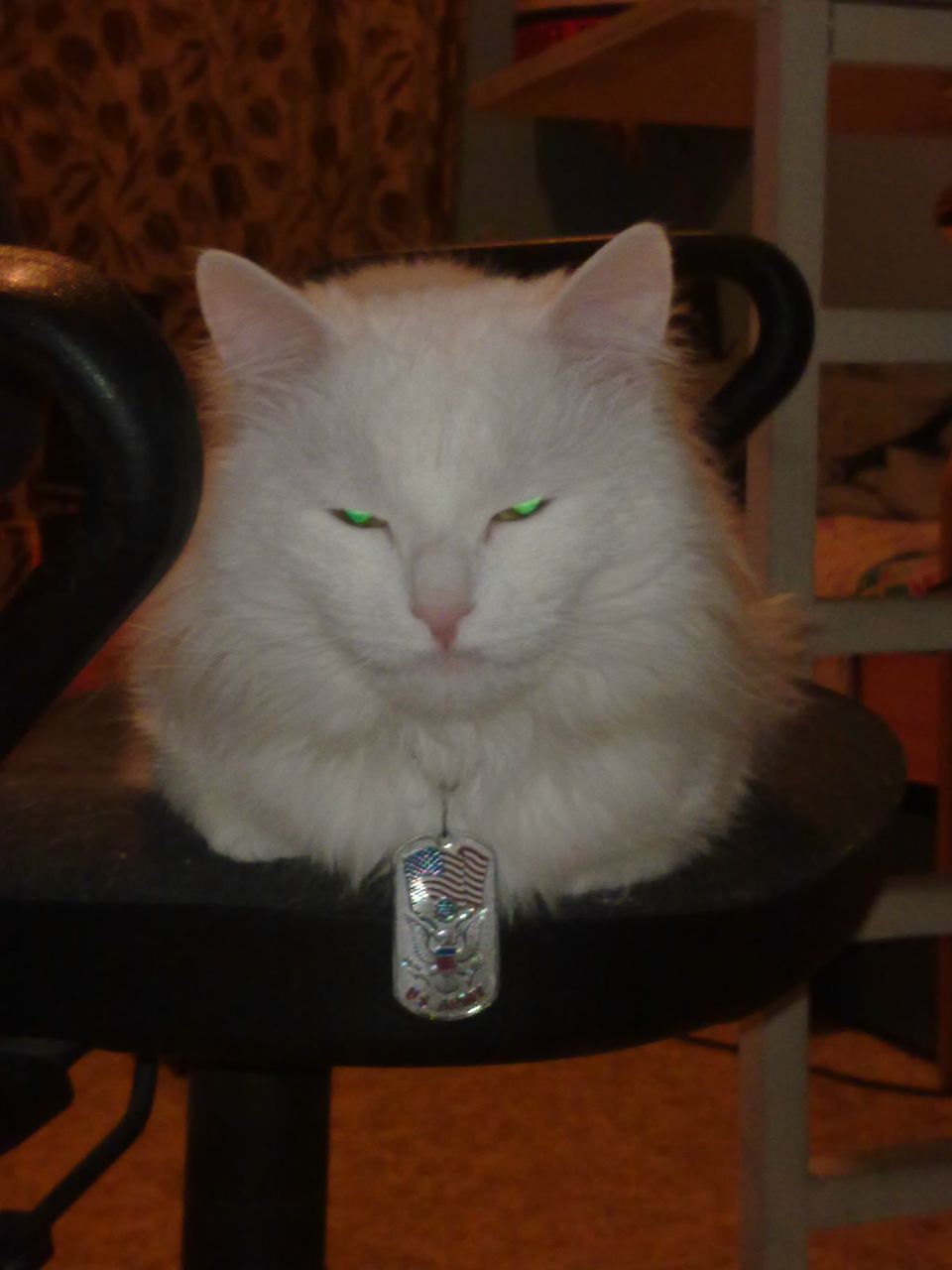 Андрей Островерхов | Екатеринбург