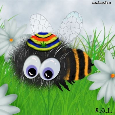 Анюта Потапенко ·٠•●๑۩ВсЕ КрУтО۩๑●•٠·˙ - | Киев