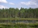 Михаил Камозин фотография #49 (источник - https://vk.com/id82740017)