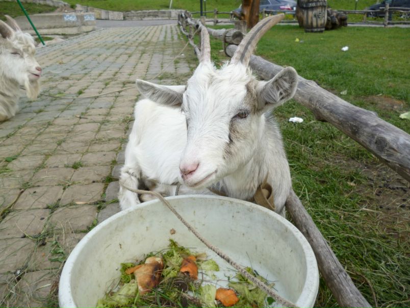 №3, Дмитрий Гаврилов, 55 лет, Санкт-Петербург №3, Дмитрий Гаврилов, 55 лет, Санкт-Петербург