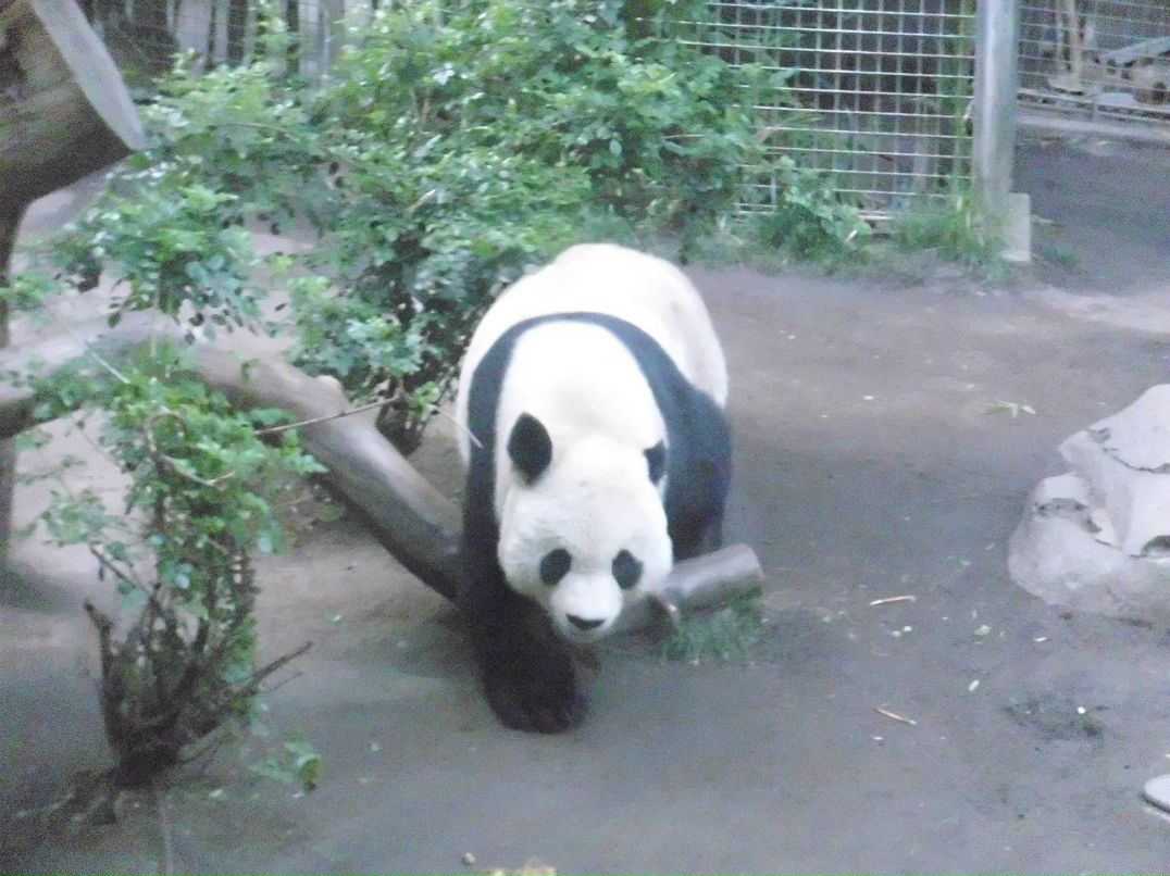 Alexandr Oseev | Magdeburg