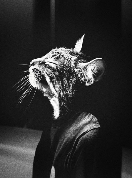 Жорж Головченко | Белая Церковь