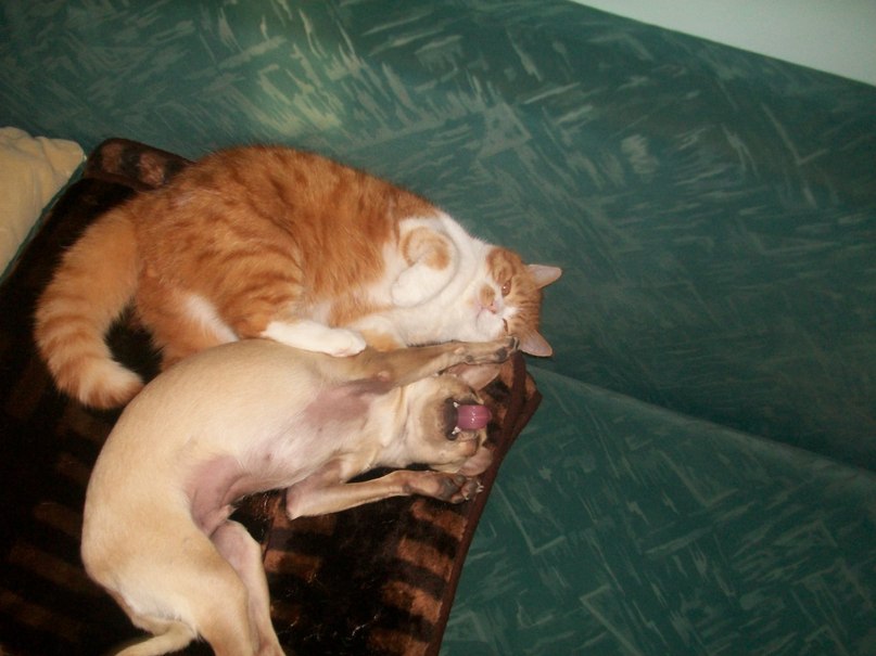 Татьяна Бородулина | Каховка