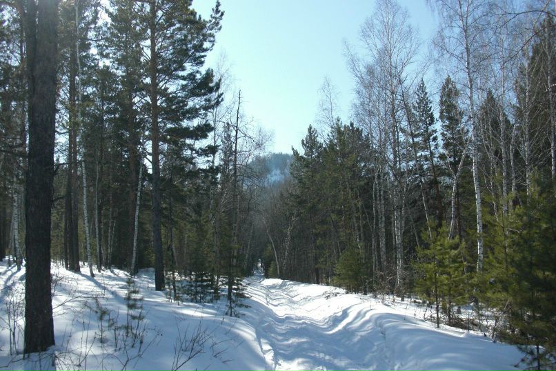 Марина Ворожейкина | Красноярск