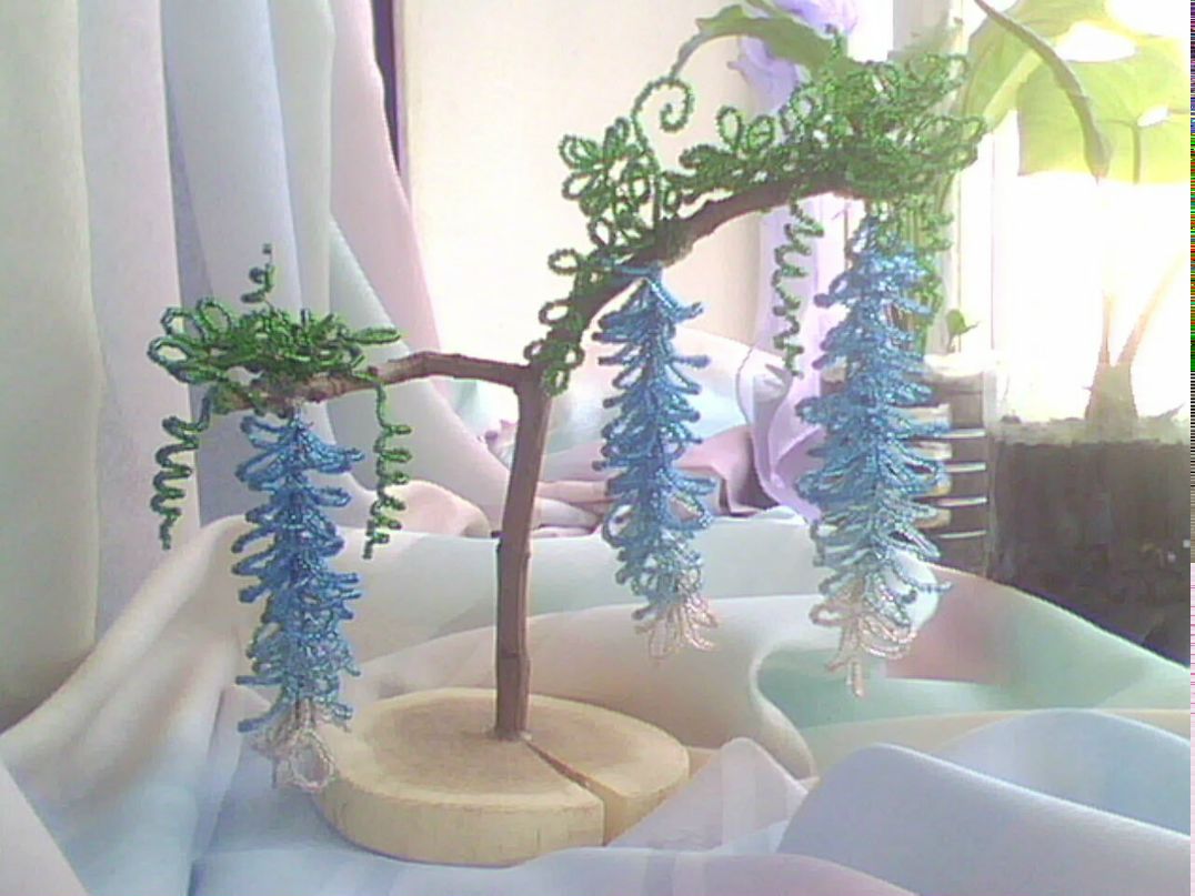 Ксюша Головко $_Кет_$ | Днепр (Днепропетровск)