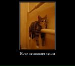 №7 Обито Учиха : профиль, фото, статус - ВКонтакте