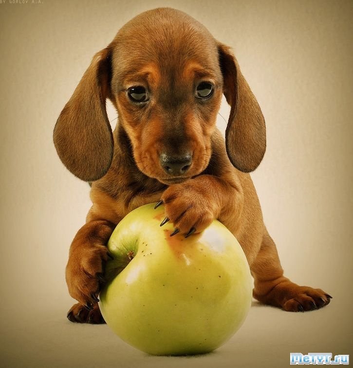 Юрий Струков | Liberta