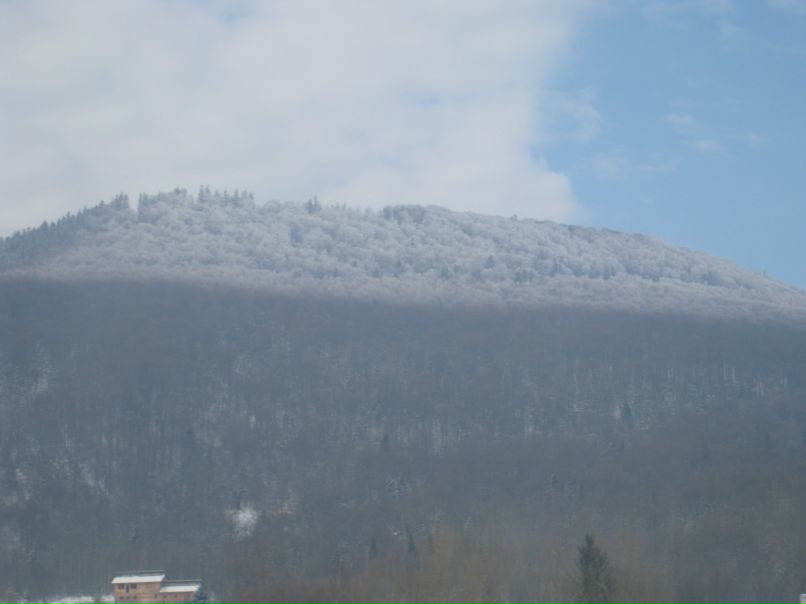 Павло Ганик | Киев