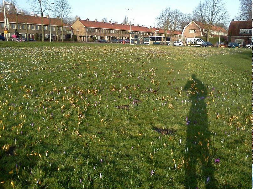 Дмитрий Горбунов | Amsterdam