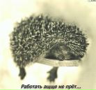№22 Екатерина Пархоменко : профиль, фото, статус - ВКонтакте №22 Екатерина Пархоменко : профиль, фото, статус - ВКонтакте