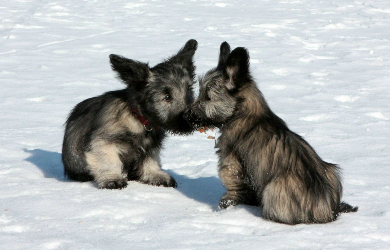 Ангелина Сартакова | Санкт-Петербург