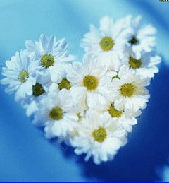 Наталья Росквас | Кременчуг