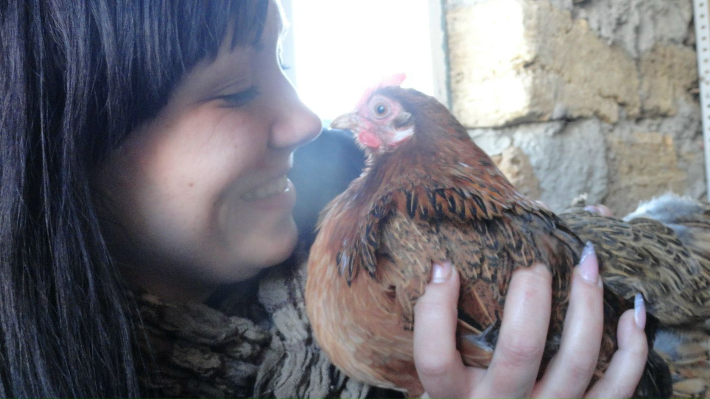 Алина Закропивная | Энергодар