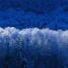 Аватар: Танечка Андреева
