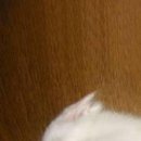 №2, Иван Малашкин Два Подъёма, 36 лет, Волхов №2, Иван Малашкин Два Подъёма, 36 лет, Волхов