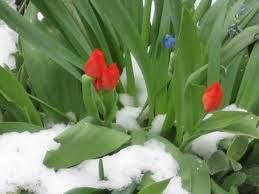 Алла Солнцева | Днепр (Днепропетровск)