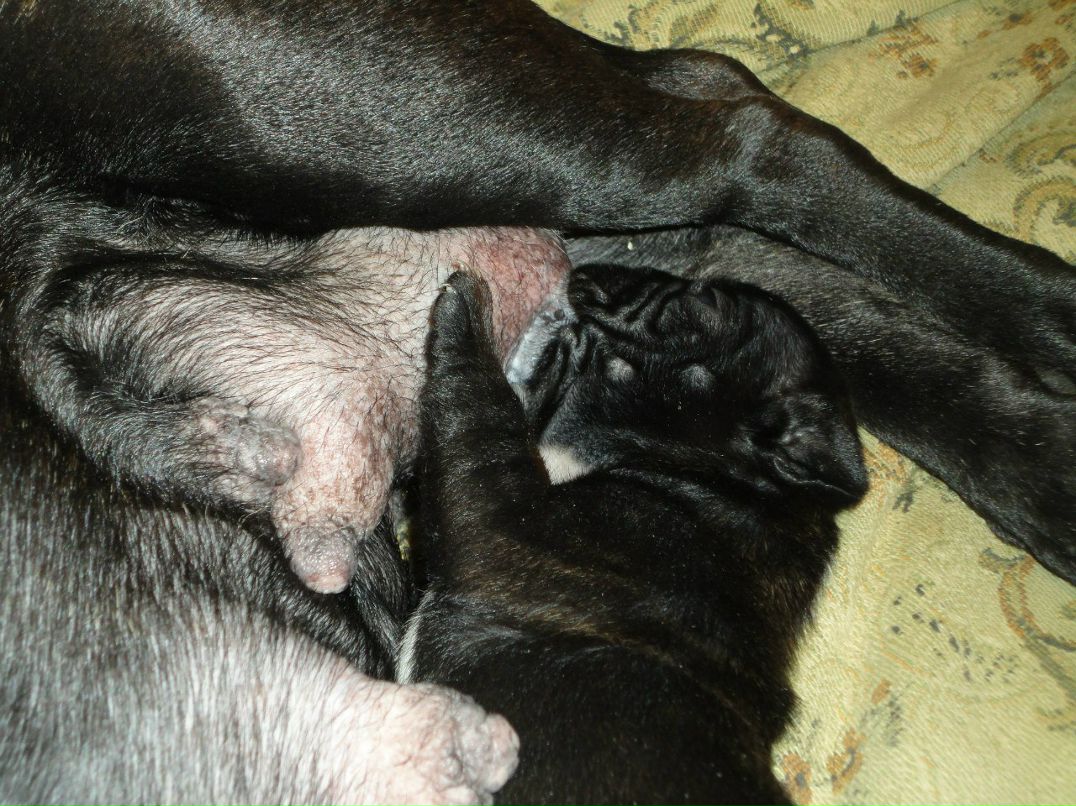 Александр Цап | Харьков