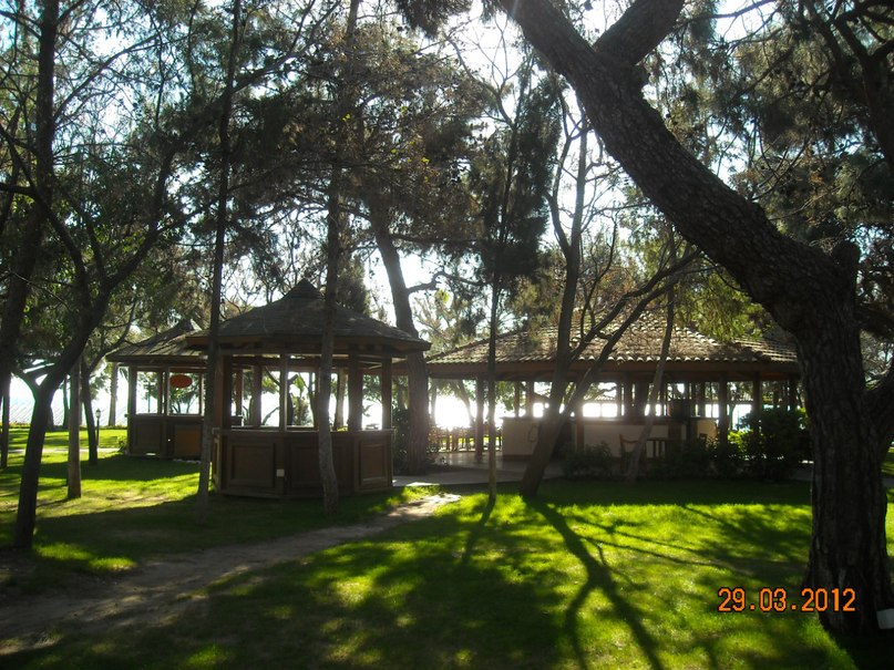 Анатолий Коробейников | Курган