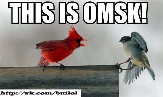 Данил Сафоненко Sofon | Томилино