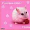 Аватар: Алёнка Макушкина