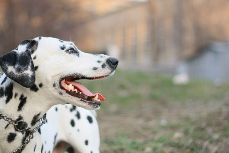 Славик Аджигитов | Москва
