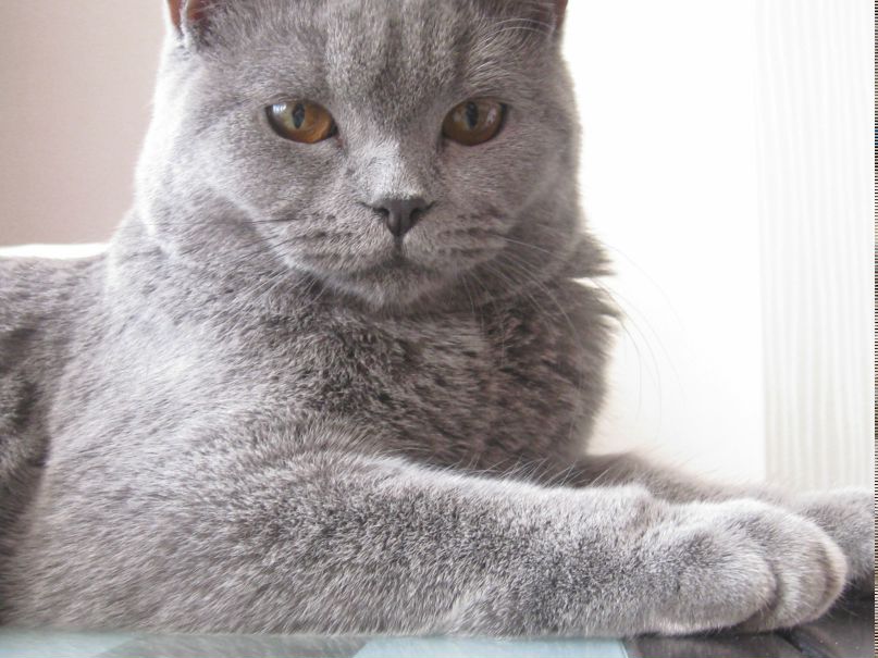 Dasha Vishnevkina | Valencia