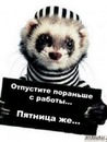 Фотография Арсентьева Дмитрия