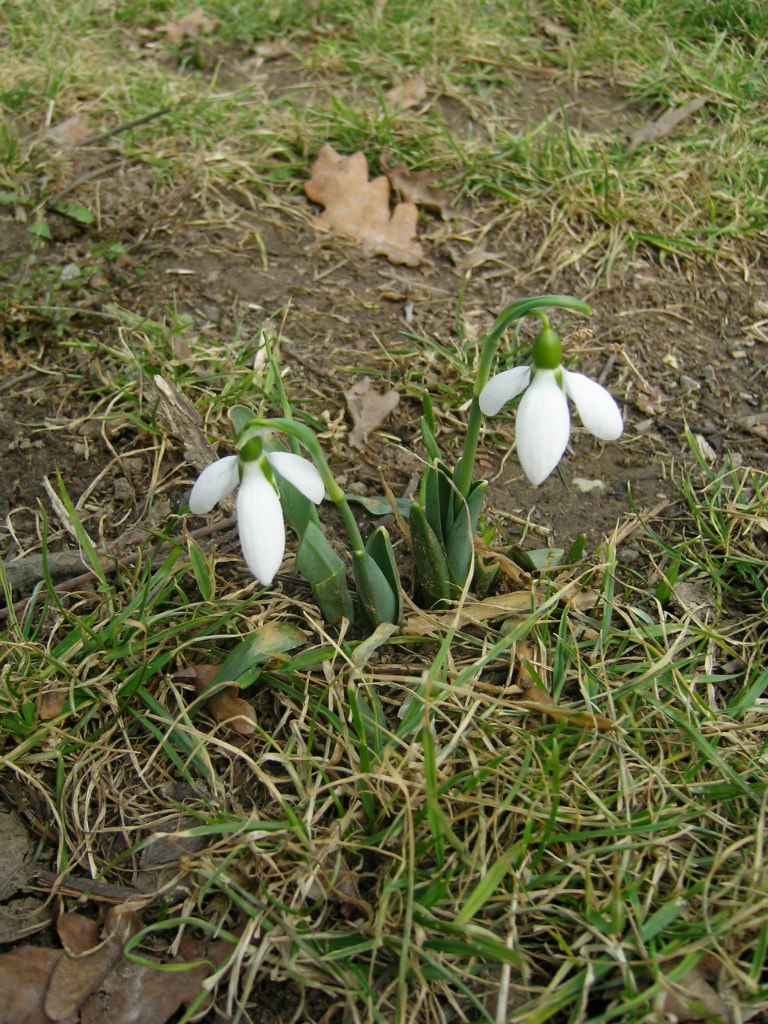 Наталия Лютц | Wiesbaden