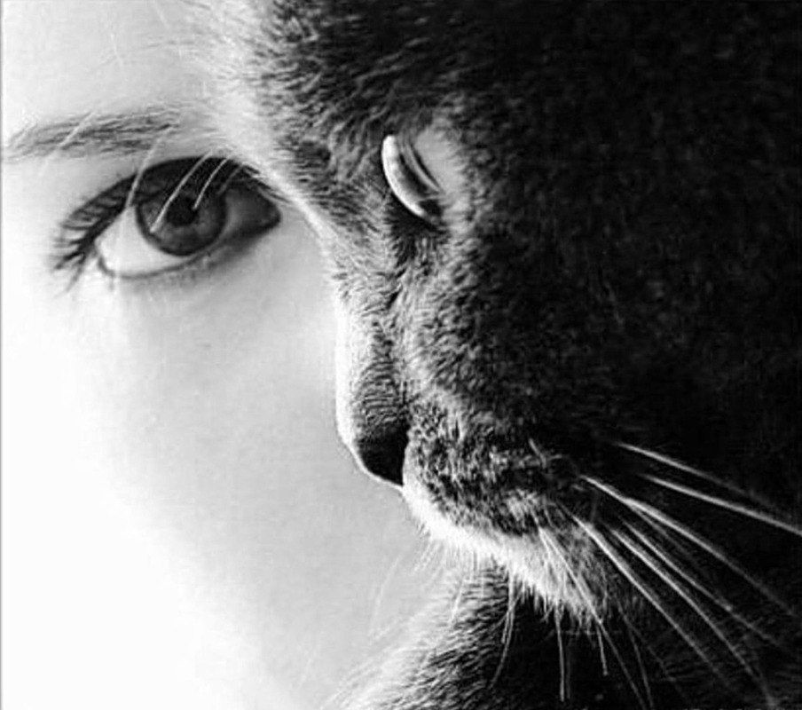 Даниил Лемстрем | Санкт-Петербург