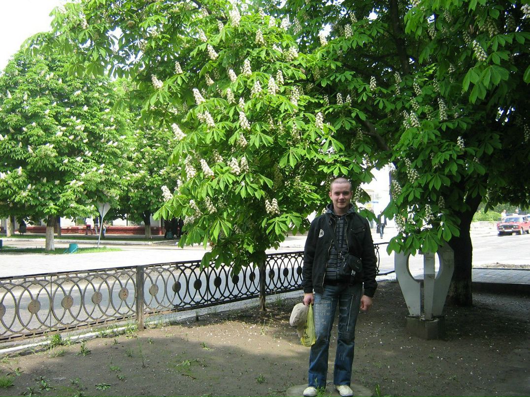 Иван Цветков | Ярославль