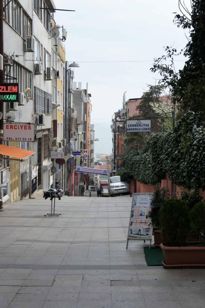 Роман Шипилов | Санкт-Петербург