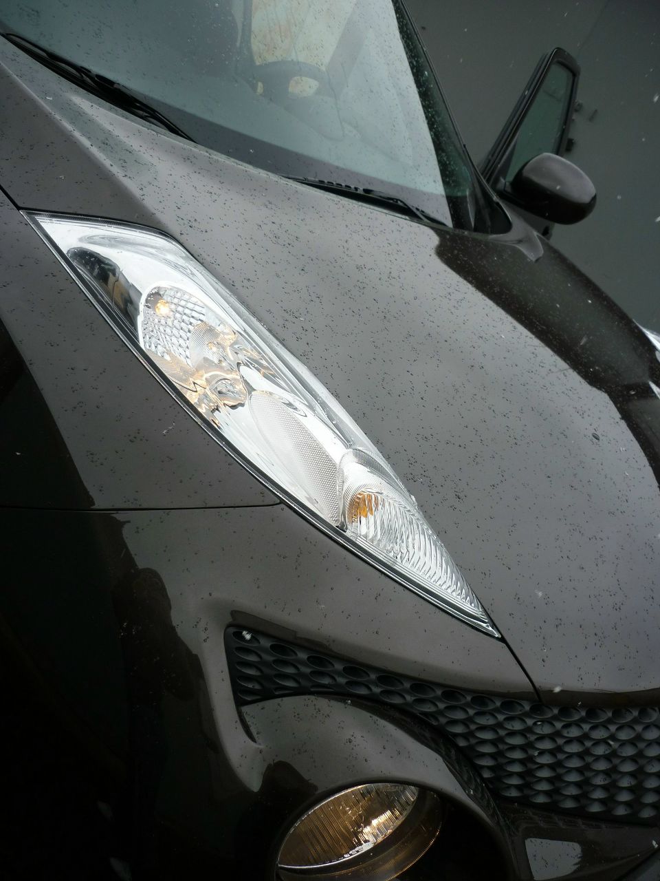 Ксюшка Сидоренко | Ростов-на-Дону