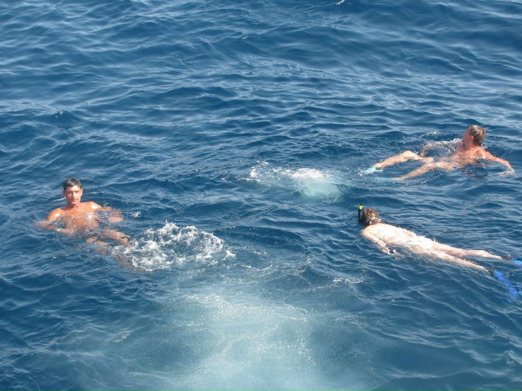 Максим Лукашеня | Барановичи