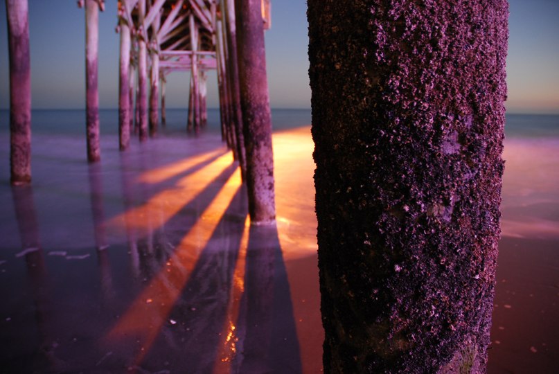 Ольга Роганова | Myrtle Beach