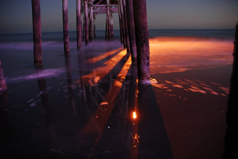 Ольга Роганова | Myrtle Beach