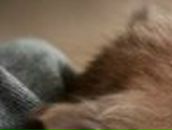 Васька Игнатенко Юрьевич | Харьков