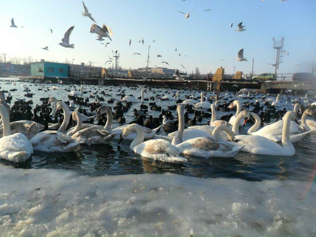 Игорь Синьков ~ Senya ~ | Одесса