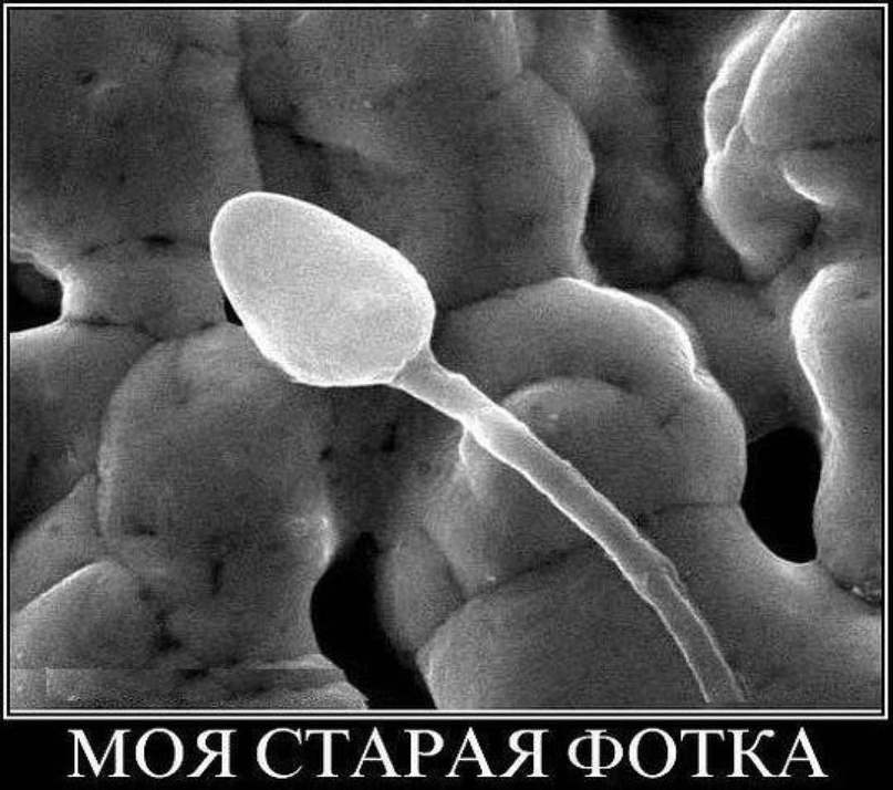 Кирюха Филатов | Москва