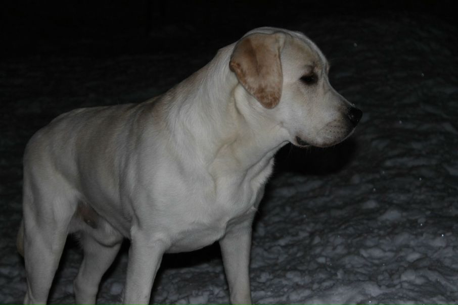 №19, Павел Золин №19, Павел Золин