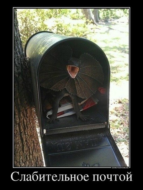 Вера Шиллер Анатольевна | Омск