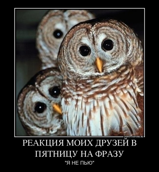 Максим Тагиров | Новороссийск