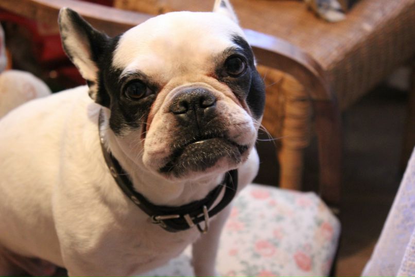 Никита Брага | Санкт-Петербург