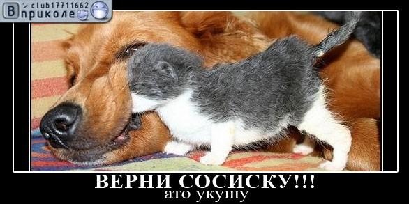 №33, Сергей Носач, 35 лет, Киев №33, Сергей Носач, 35 лет, Киев