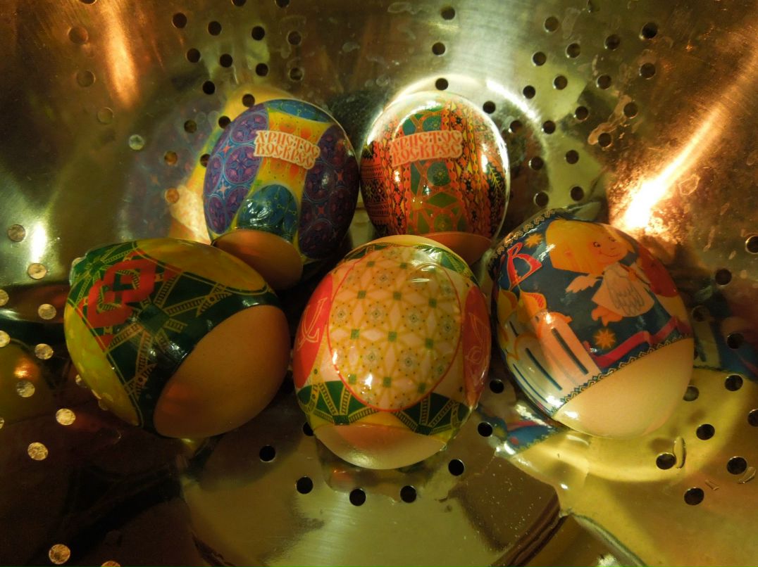 Наталия Вовчок | Seattle