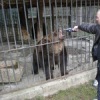 Аватар: Петро Гостюк
