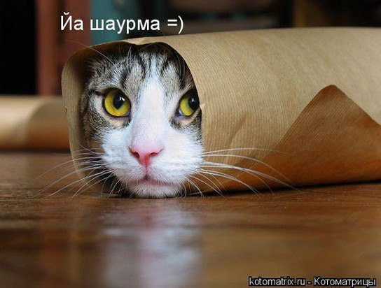 Ирина Измайлова | Одесса