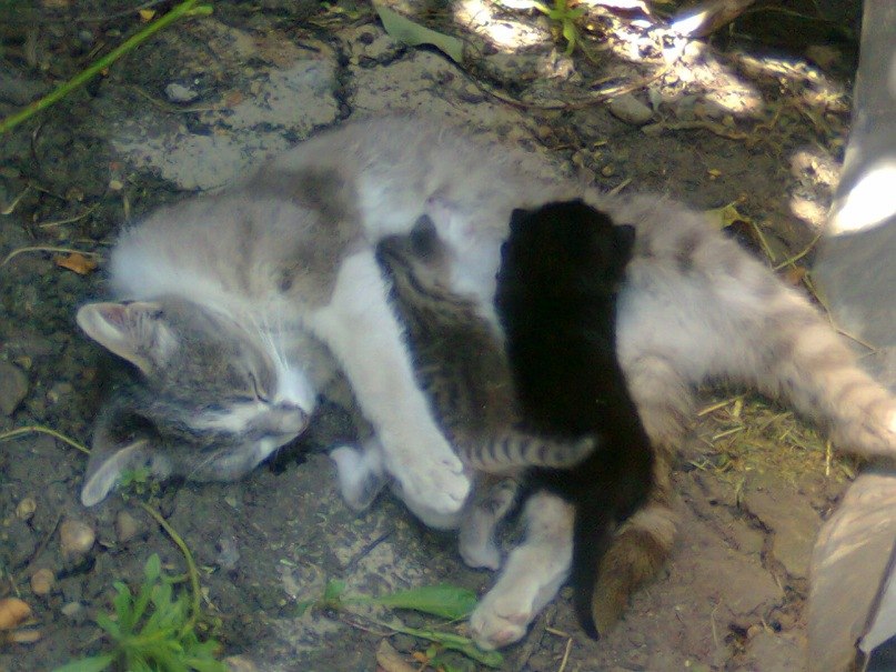 Галина Ганган | Москва